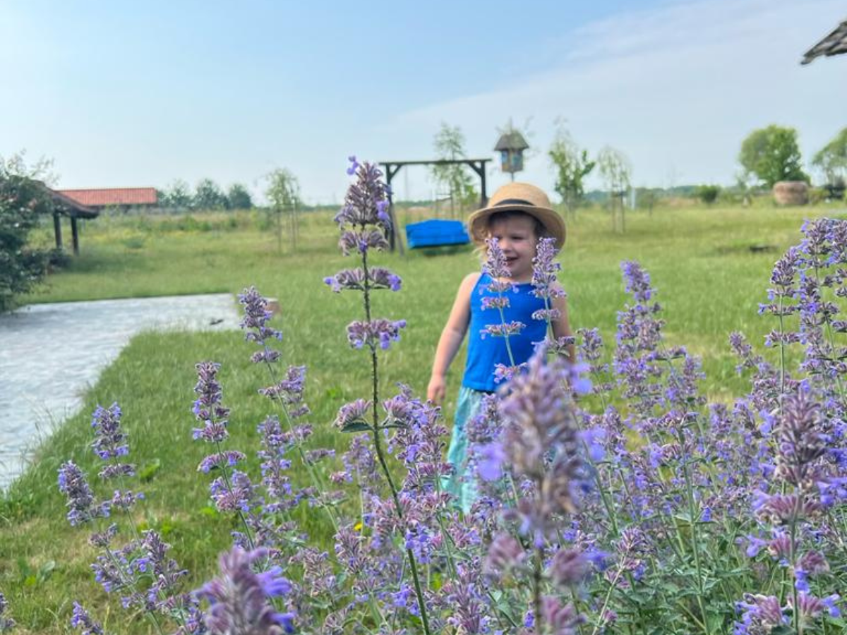 Agroturystyka dla dzieci z wyżywieniem – dlaczego warto?